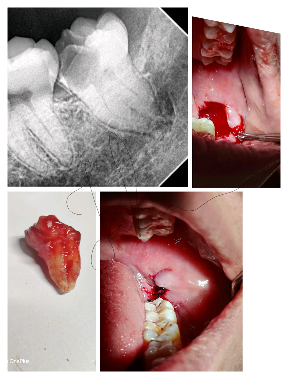 Dental Health Care Gallery 2