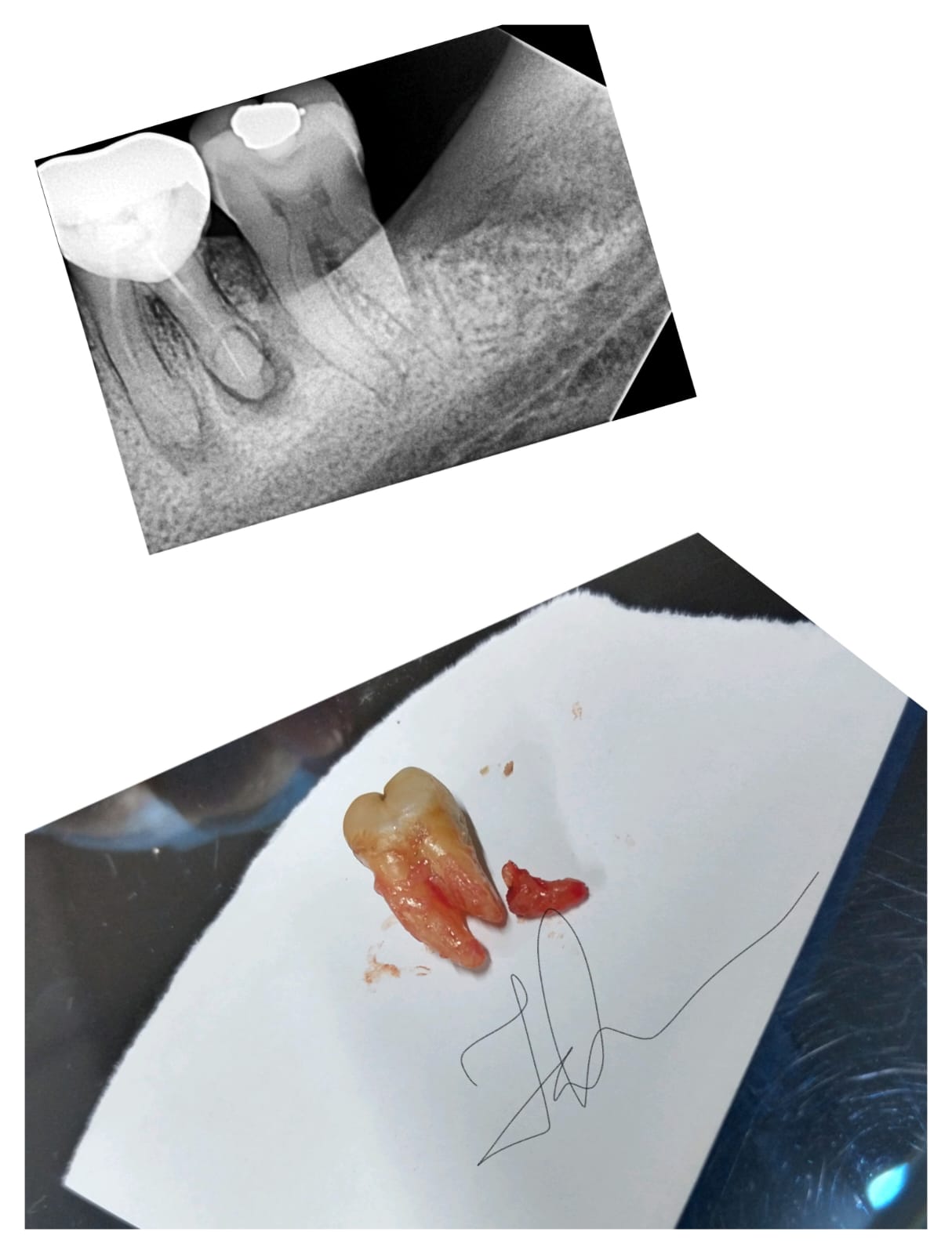 Dental Health Care Gallery 4