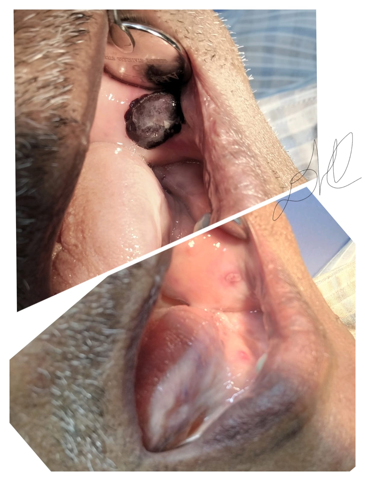Dental Health Care Gallery 8
